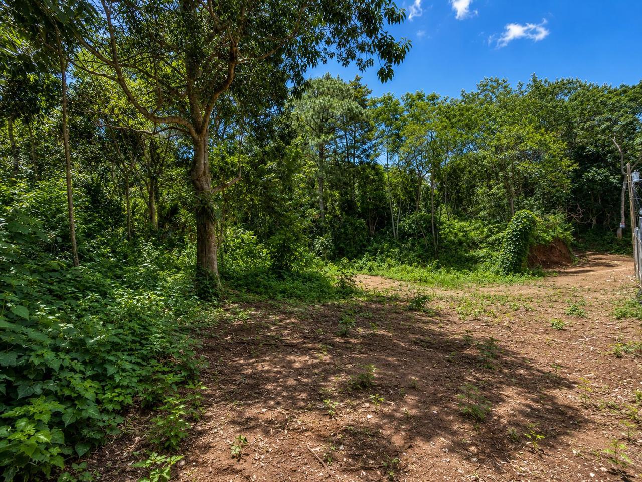 VENTA DE AMPLIO TERRENO – LAGUNA DEL PINO, BARBERENA - Miniatura 2