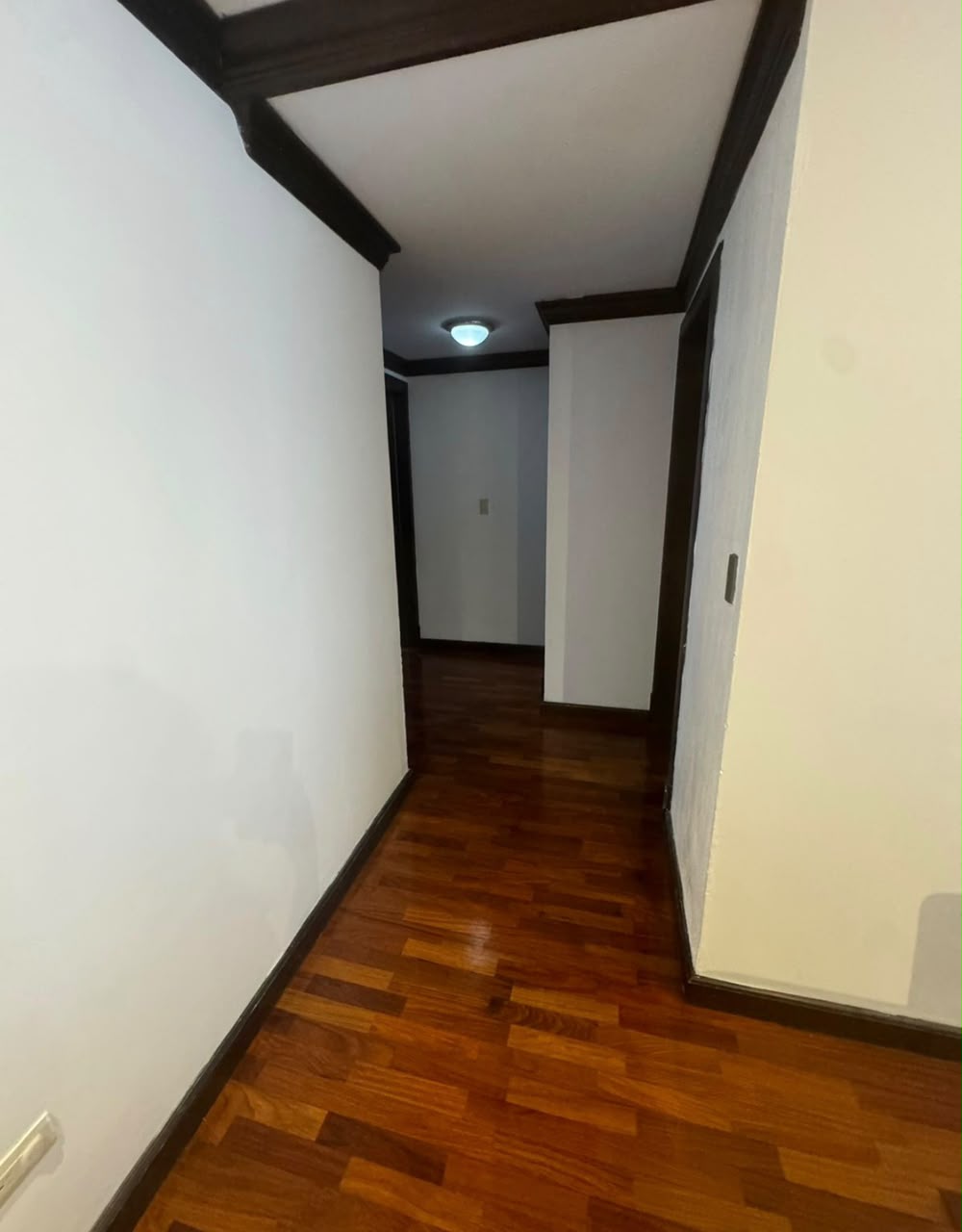 ALQUILER DE CÉNTRICO APARTAMENTO – LA VILLA, ZONA 14 - Image 3