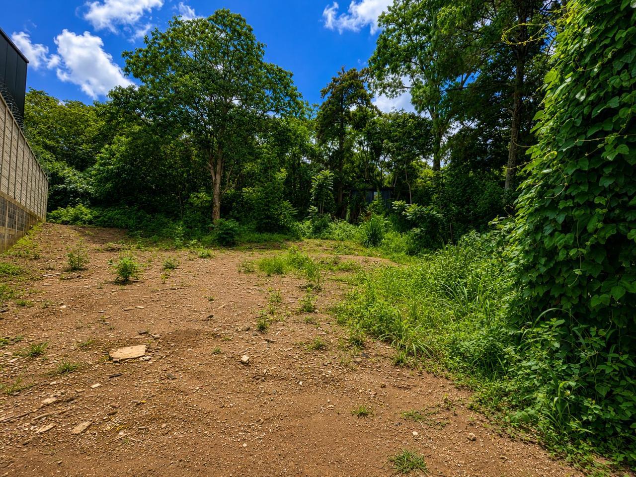 VENTA DE AMPLIO TERRENO – LAGUNA DEL PINO, BARBERENA - Miniatura 7