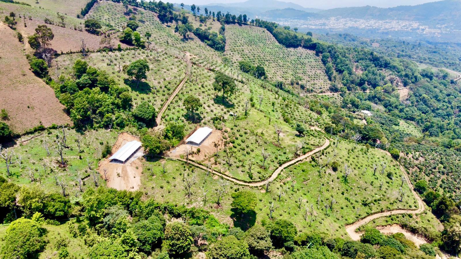 Venta de espectacular finca en producción en San Vicente Pacaya - Image 1